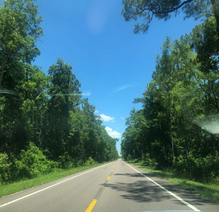 This great road through the Ocala Forest in Florida sure beats the busy highways