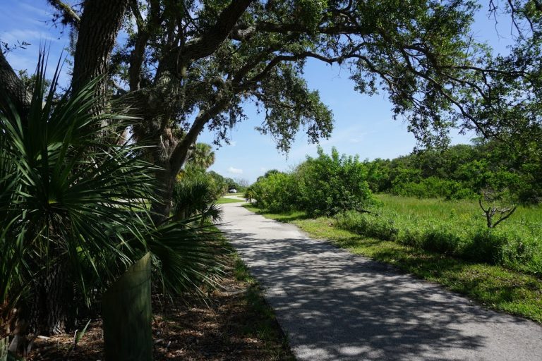Bicycle trail at Fort De Soto