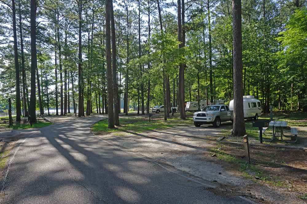 Twiltley Branch Campground in Mississippi